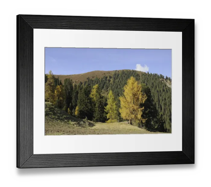 Framed Print : Mountain forest in autumn, mountain forest