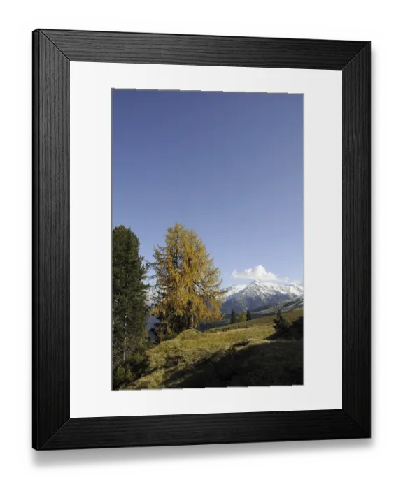 Framed Print : Mountain forest in autumn, mountain forest