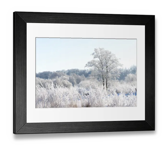 Framed Print : Snowy winter landscape with frost-covered trees Framed Print : Snowy winter landscape with frost-covered trees