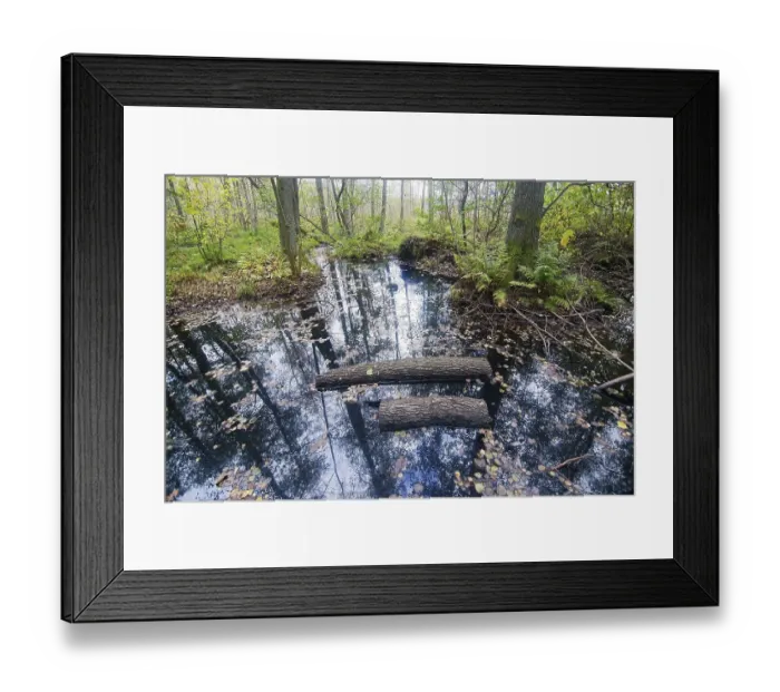 Framed Print : Tree and sky reflection in water in the forest