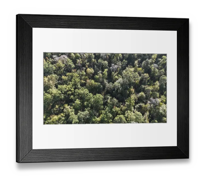Framed Print : Default Framed Print : Default