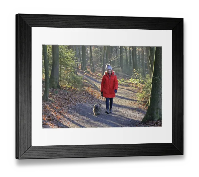 Framed Print : Woman walking through the winter forest with dog