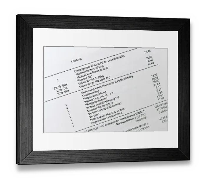 Framed Print : Germany - January 20th 2026: Close up of German veterinary bill with detailed medicine and procedure listings
