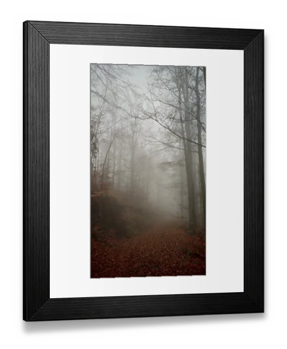Framed Print : A foggy forest trail with thick trees and an autumnal atmosphere Framed Print : A foggy forest trail with thick trees and an autumnal atmosphere
