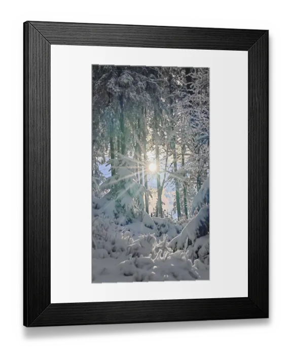 Framed Print : Winter forest with snow cover and sunlight between trees