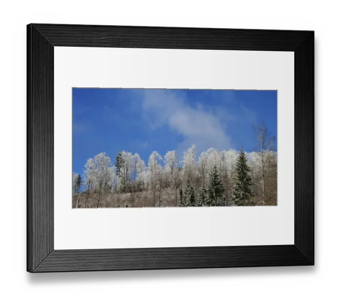 Framed Print : Snowy treetops of a forest against a blue sky