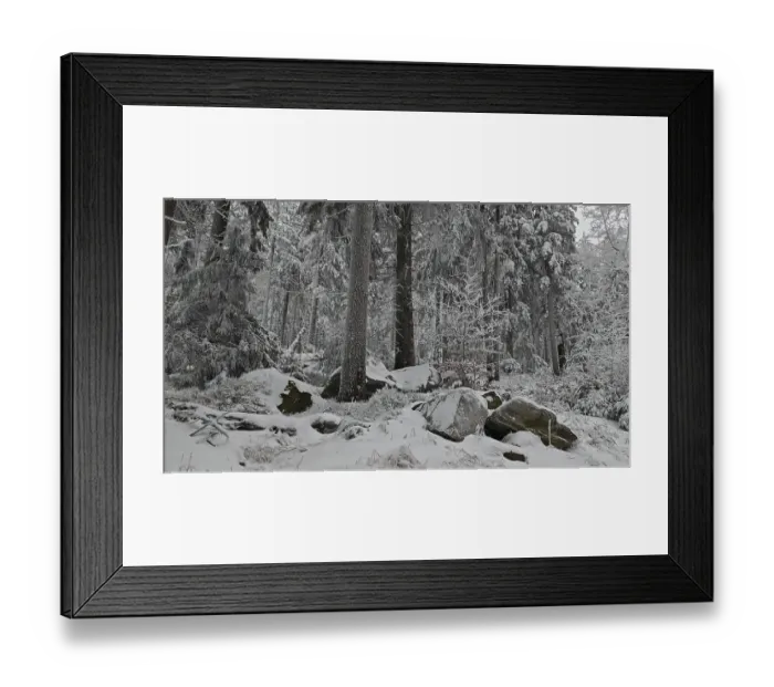 Framed Print : Winter forest with snow-covered rocks and trees