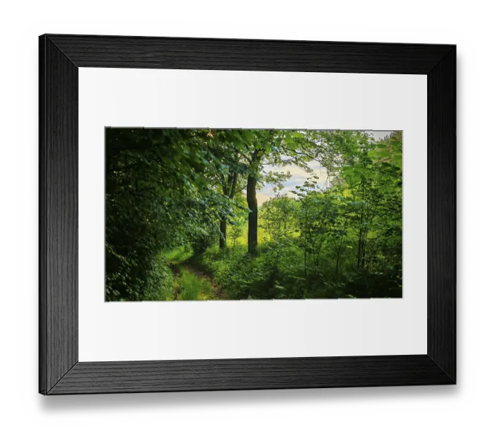 Framed Print : A narrow path snakes through a green