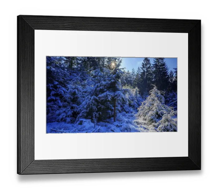 Framed Print : Snow-covered fir trees in the forest that are penetrated by sunlight
