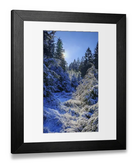 Framed Print : Snowy forest landscape with sunlight shining through the branches Framed Print : Snowy forest landscape with sunlight shining through the branches