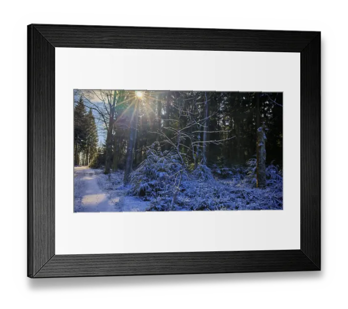 Framed Print : A forest trail with snow and sun rays shining through the trees
