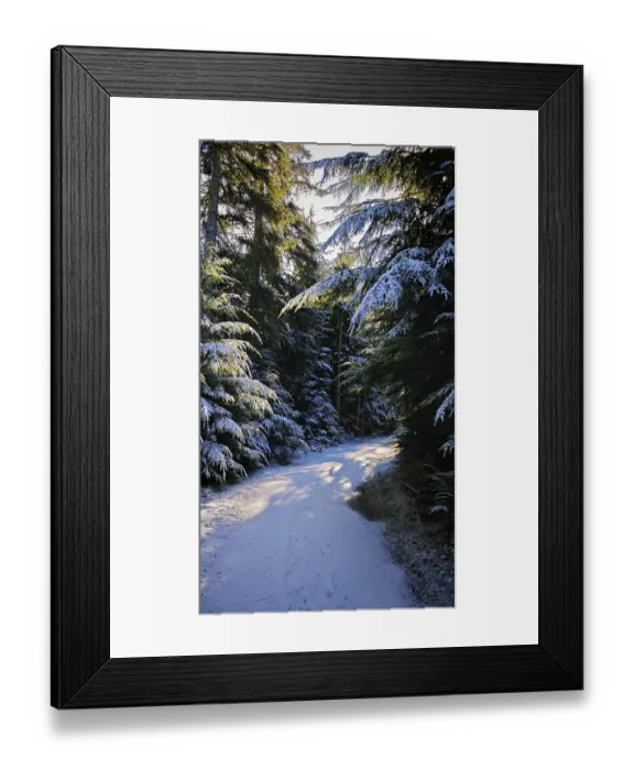 Framed Print : A snowy forest trail lined with thick snow-covered firs