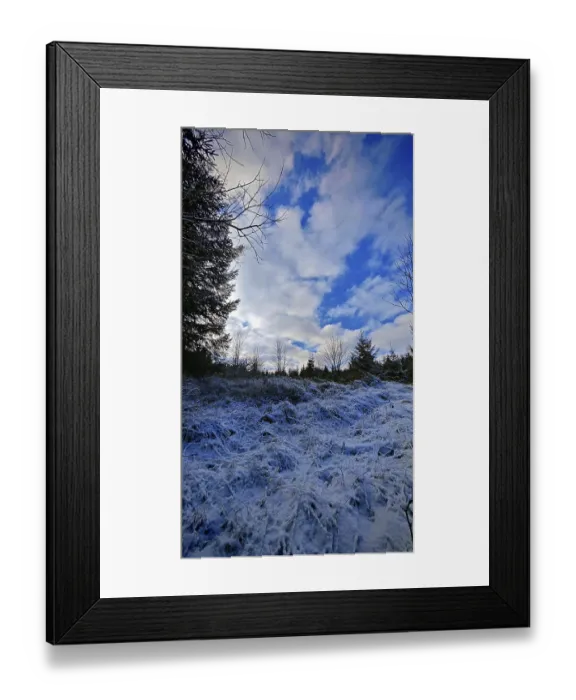Framed Print : Wintery forest landscape with snow-covered ground and bright blue sky