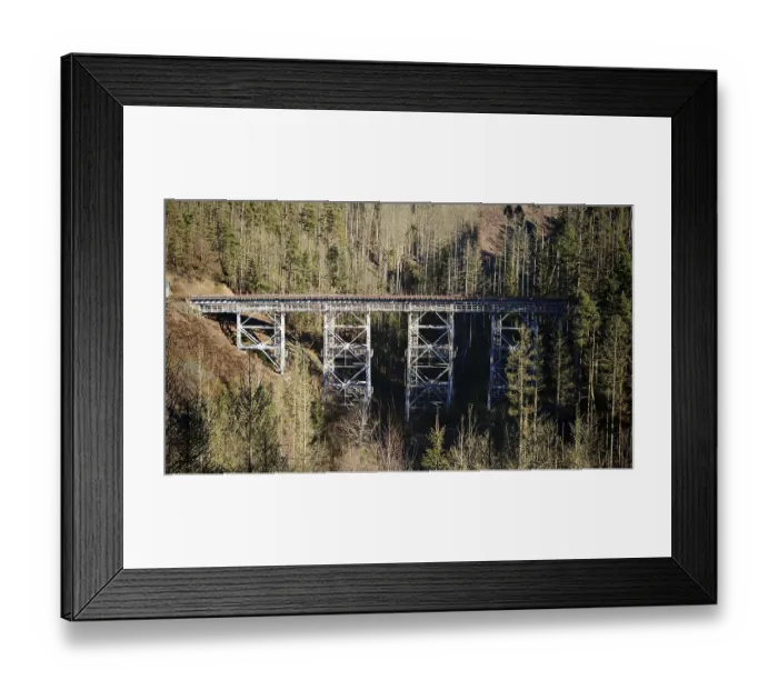 Framed Print : Old metal railway bridge surrounded by a thick forest in sunlight