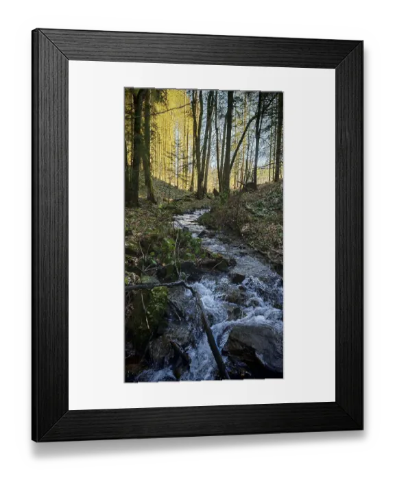 Framed Print : Small stream flows through a forest surrounded by moss and trees in sunlight Framed Print : Small stream flows through a forest surrounded by moss and trees in sunlight