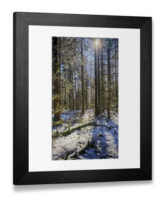 Framed Print : Snowy forest with trees breaking sunbeams and casting shadows Framed Print : Snowy forest with trees breaking sunbeams and casting shadows