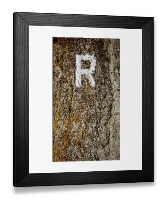 Framed Print : Close-up of a tree trunk with a white painted letter R as a signpost and moss