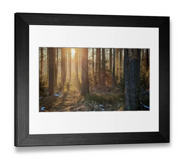 Framed Print : Sunbeams flood a forest, snow-covered ground