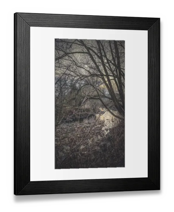 Framed Print : A river runs under bare trees and leaves behind a melancholy winter atmosphere