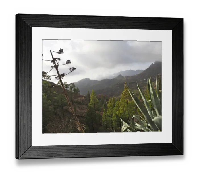 Framed Print : View of hilly landscape with green trees under cloudy sky