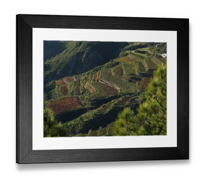 Framed Print : View of terraced fields in the midst of a green mountain landscape Framed Print : View of terraced fields in the midst of a green mountain landscape