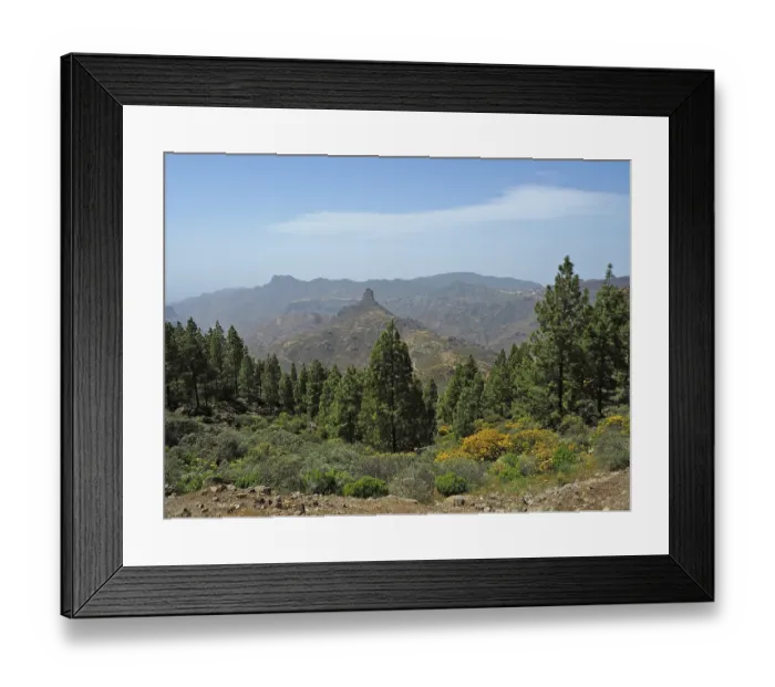 Framed Print : View of pine trees in mountainous landscape with blue sky Framed Print : View of pine trees in mountainous landscape with blue sky