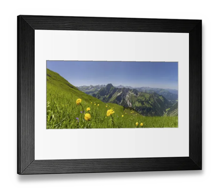 Framed Print : Mountain panorama with troll flowers (Trollius europaeus) from Laufbacher-Eckweg to Hofats 2259m