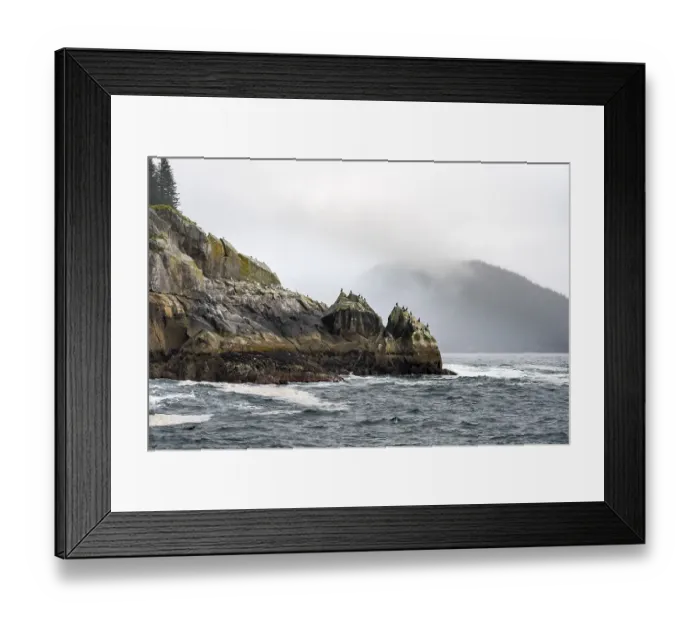 Framed Print : Rocky coast with birds, coastal landscape