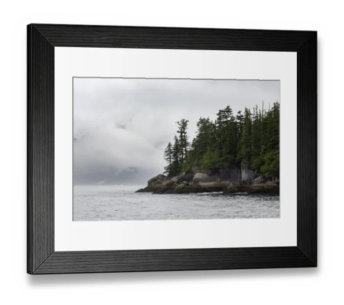 Framed Print : Rocky coast with coniferous forest Framed Print : Rocky coast with coniferous forest