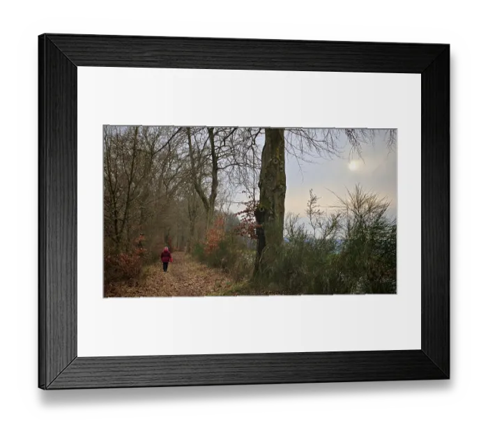 Framed Print : Person in red on a forest path covered with leaves Framed Print : Person in red on a forest path covered with leaves