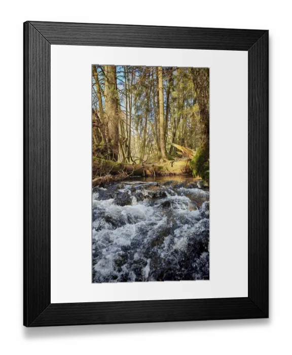 Framed Print : A flowing stream in a dense stretch of forest