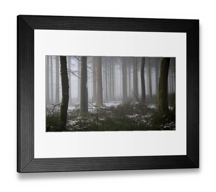 Framed Print : A quiet forest in fog that slightly covers the ground with snow Framed Print : A quiet forest in fog that slightly covers the ground with snow