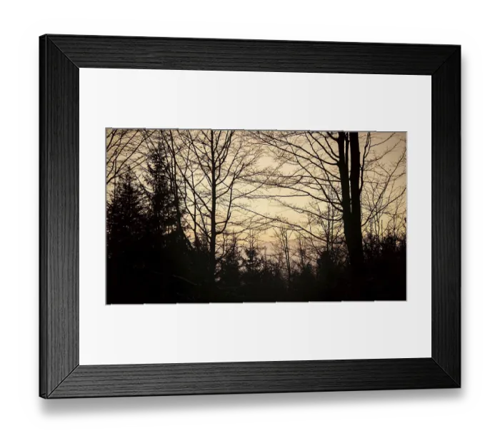 Framed Print : Silhouettes of trees against a colorful evening sky