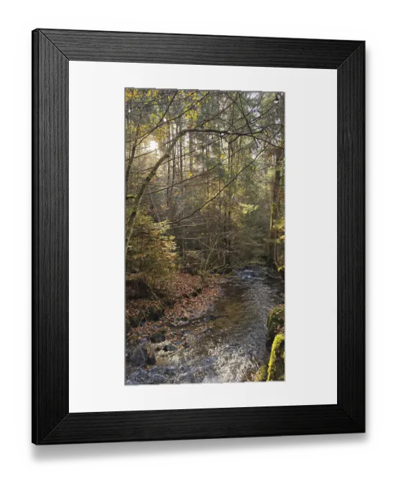 Framed Print : A small stream flows through an autumnal forest