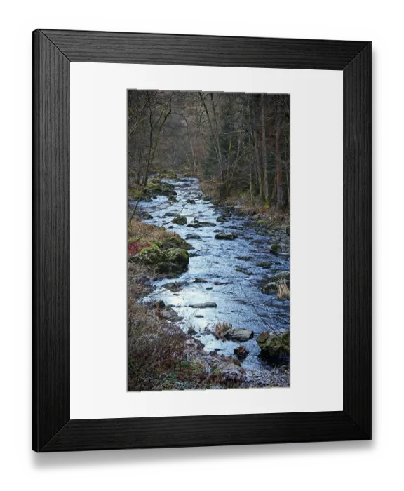 Framed Print : Flowing stream with stones and thick trees on both sides Framed Print : Flowing stream with stones and thick trees on both sides