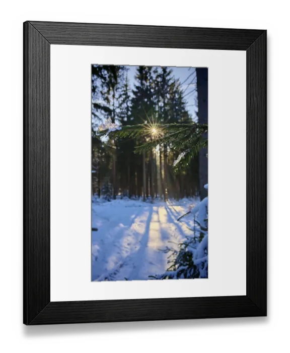 Framed Print : Sun rays break through the branches of a snow-covered forest Framed Print : Sun rays break through the branches of a snow-covered forest