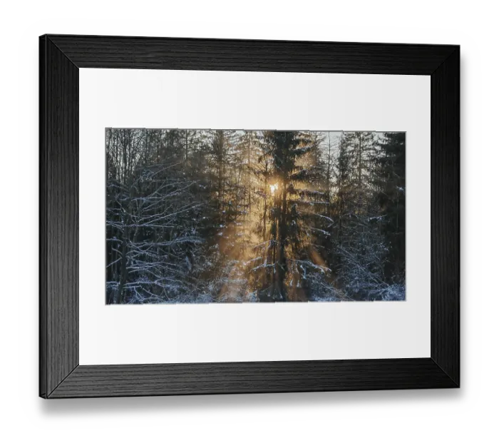 Framed Print : Light penetrates through trees in a snow-covered forest