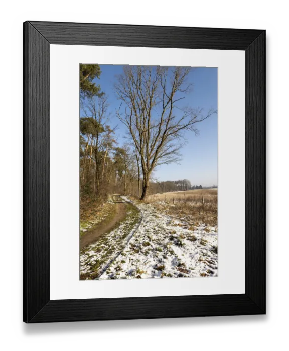 Framed Print : Borken, NRW, Germany Dirt path winding through snowy patches with a forest and a large bare tree beside it
