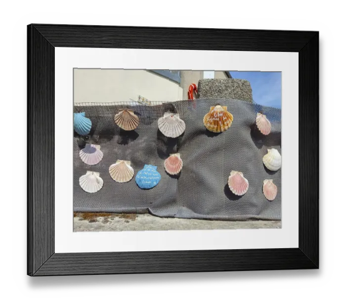 Framed Print : Colourful shells hanging on a net with coastal motifs on wall