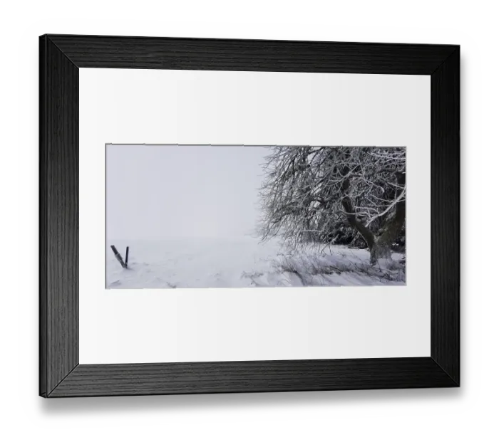 Framed Print : Snowy tree on the edge of a field in a quiet winter landscape