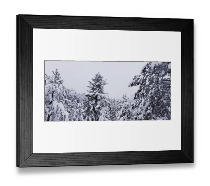 Framed Print : Snowy coniferous forest under a cloudy winter sky
