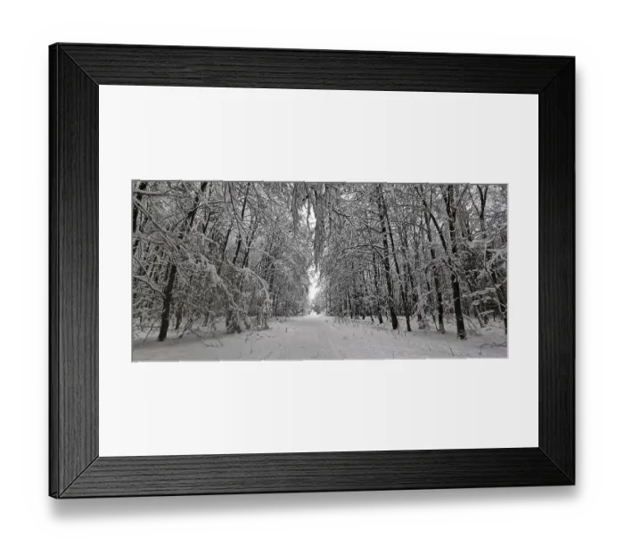 Framed Print : Idyllic, snow-covered forest trail with snow-covered trees on both sides