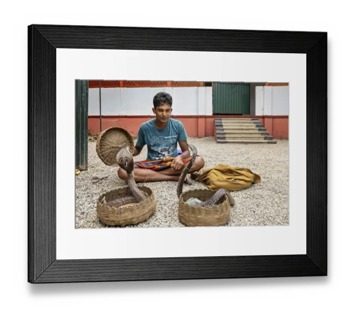 Framed Print : A man sits on a gravel floor with two wicker baskets and two cobras in a traditional performing situation