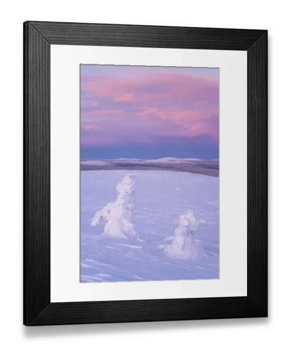Framed Print : Winter landscape with snowy trees at dusk