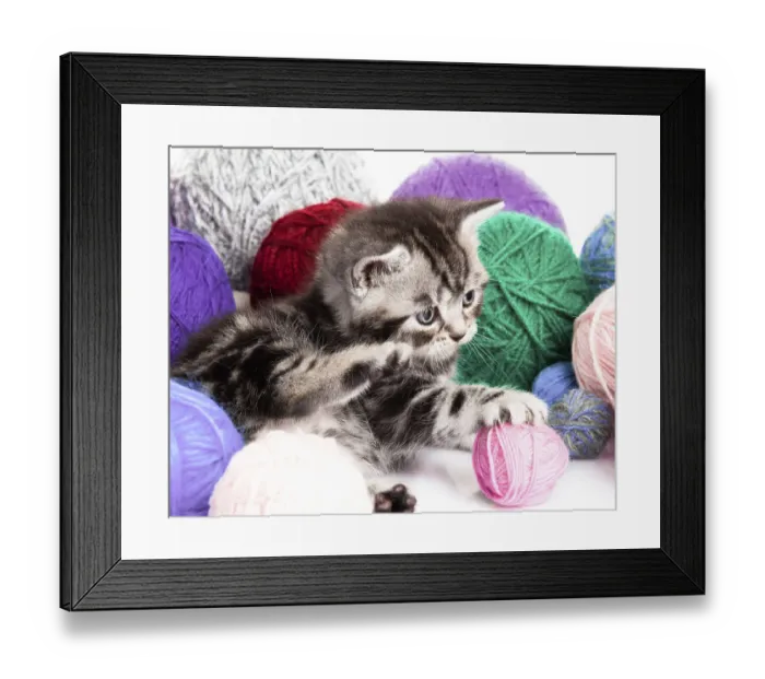 Framed Print : Kitten with balls of threads. little kitten on white background