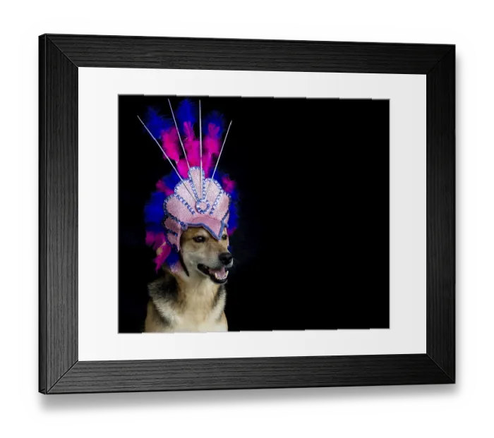 Framed Print : Portrait of a dog dressed for carnival