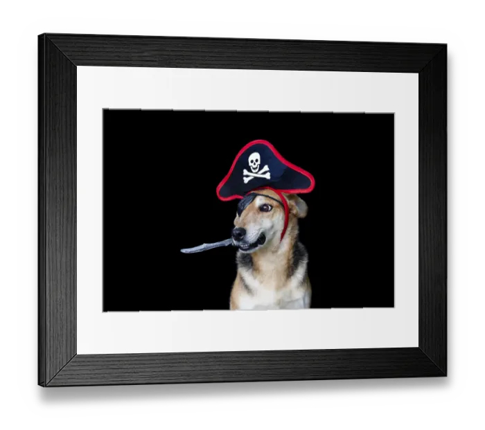 Framed Print : Dog dressed as a pirate with patch hat holding a knife with his mouth