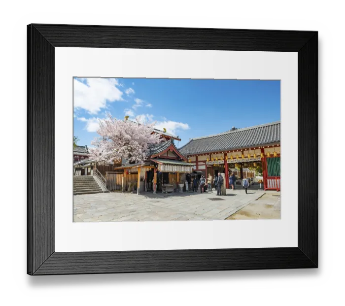 Framed Print : Shitennoji temple and cherry blossom