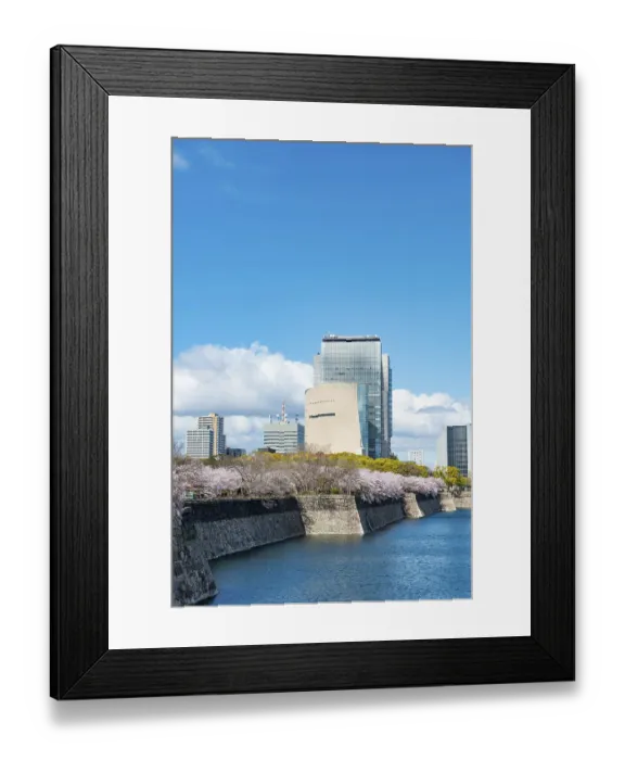 Framed Print : Skyscrapers and cherry blossoms on the moat with water at Osaka Castle