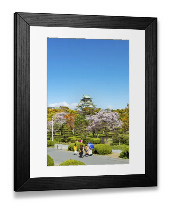 Framed Print : Osaka castle with blooming cherry trees in the park